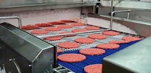 دانلود طرح کارآفرینی تولید همبرگر