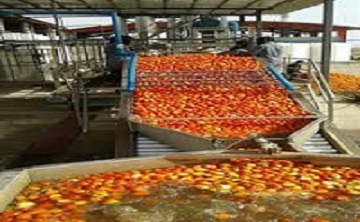 پاورپوینت فرایند تولید رب گوجه فرنگی