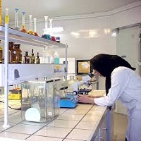 گزارش کارآموزی در آزمایشگاه داروسازی