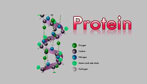 دانلود مقاله پروتئين ها و انواع ساختارهاي آن