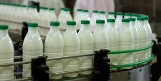 دانلود پروژه خط تولید کارخانه شیر ساورز باشت
