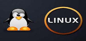 دانلود تحقیق سیستم عامل لینوکس