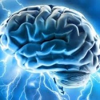مقاله یادگیری مبتنی بر مغز