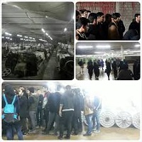 گزارش کارآموزی در کارخانه ایران پوپلین